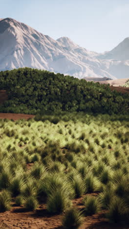 a beautiful view of a grassy field with mountains in the background