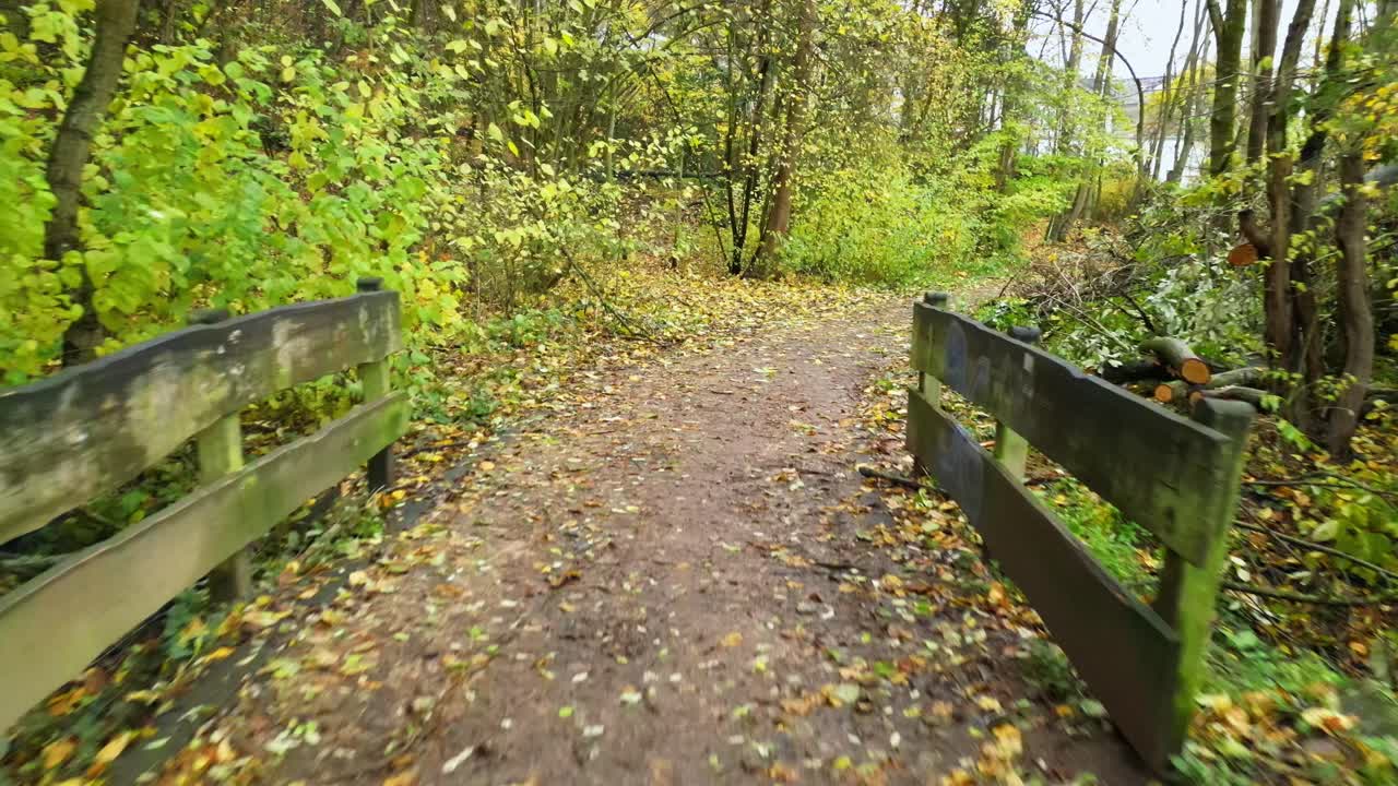 아름답고 추운 가을 아침 본, 비너스베르크의 숲에 있는 작은 발 다리 위의 통로