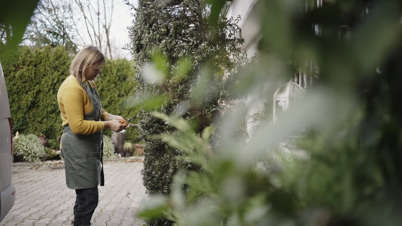 Woman Pruning a Shrub