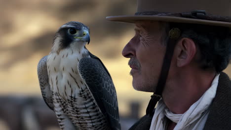 man and falcon portrait