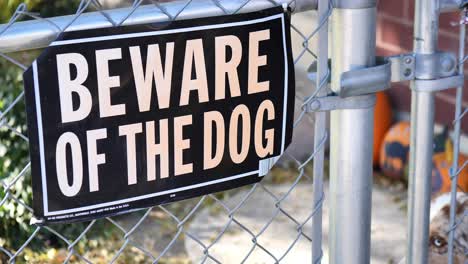 generic beware of dog sign on chainlink fence, with brown and white dog in the background