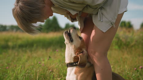 pet lover bending down in grassy field playfully interacting with her dog, dog reaching for her clothes while wearing a studded collar leash, bright sunny day with lush green surroundings