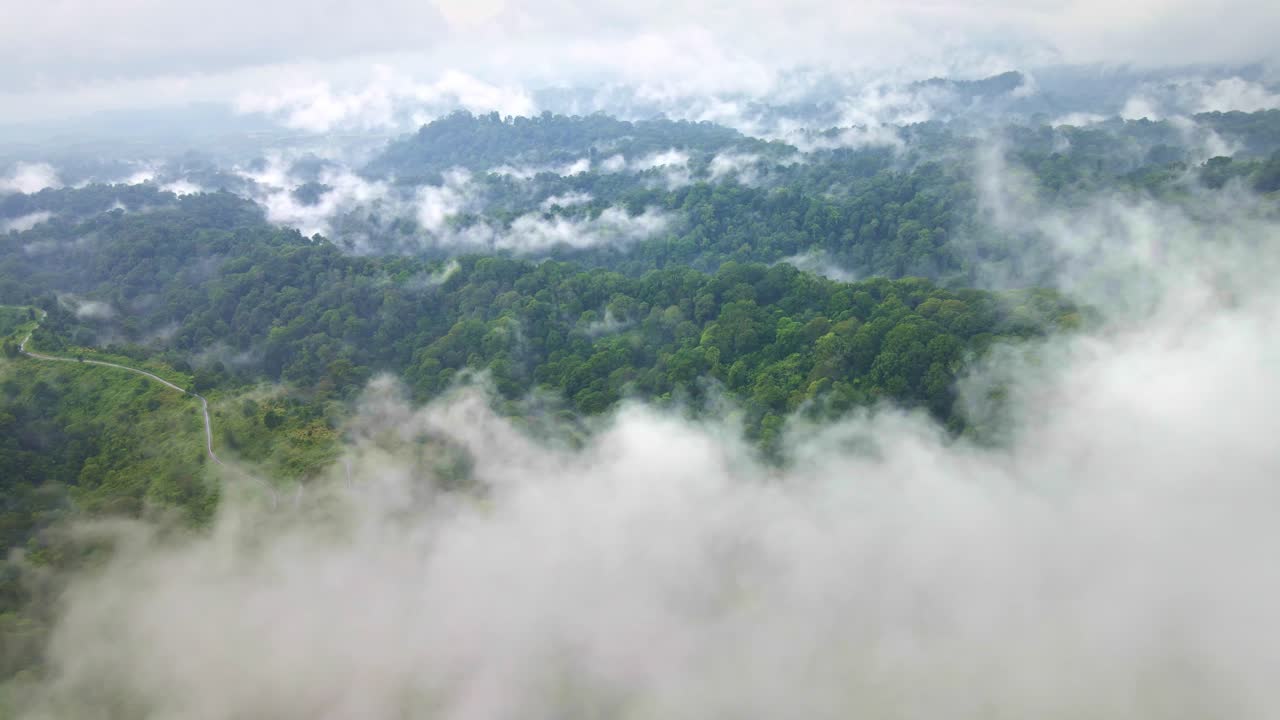 la majestuosa vista desde encima de la nube de un parque nacional de selva tropical, un faro de conservación en el top 5 de las selvas tropicales más grandes del mundo