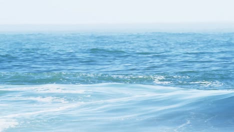 surfers surfing in sea