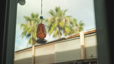 weather changing in the background with a humming bird feeder in the foreground