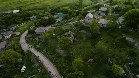 Herde-Von-Kühen-Auf-Der-Straße-In-Einem-Kleinen-Dorf,-Das-Nach-Dem-Weiden-In-Georgia-Zurückgeht