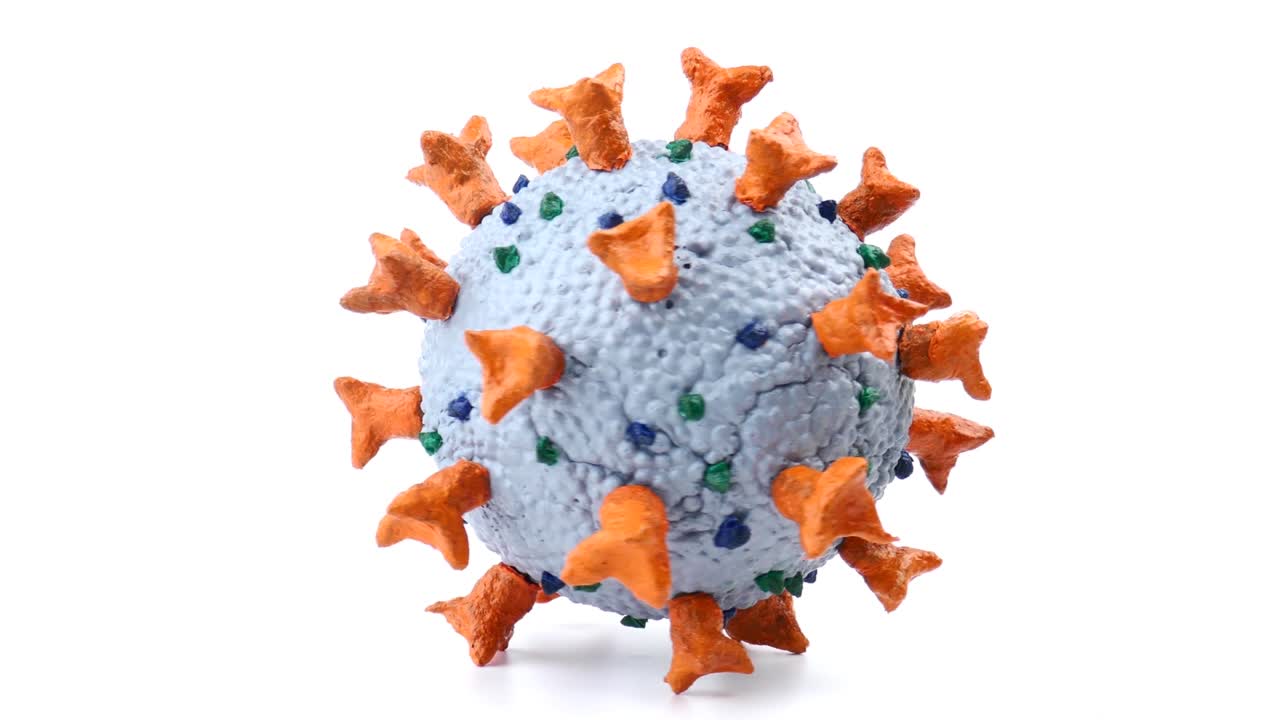 modelo escolar de coronavirus para la educación científica
