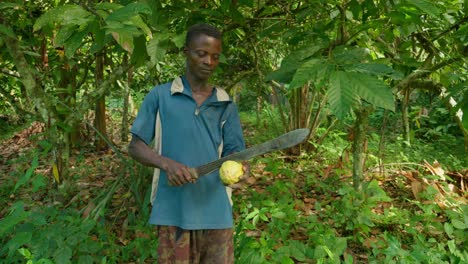 Schwarzafrikanischer-Jungbauer-öffnet-Mit-Einer-Großen-Messermachete-Einen-Kakao-In-Der-Waldfarm
