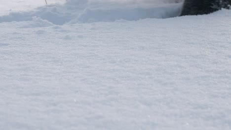 Walking-in-Deep-Powder-Snow,-Wading,-Copyspace,-Close-Up