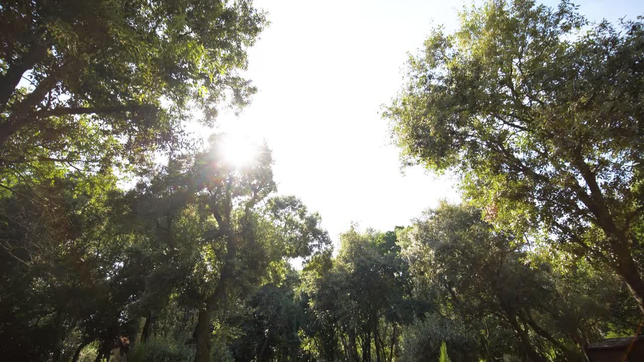 Slow motion shot of a gravel path running through a villa garden