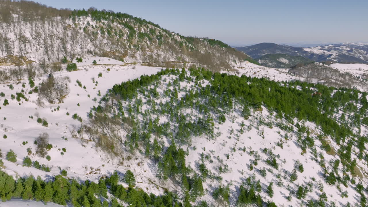 Snow-covered Mountains with Green Pine Trees in Winter Landscape