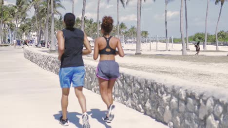 pareja trotando en el parque