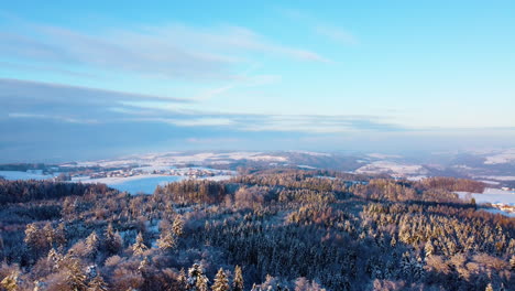 Impresionante-Dron-Disparó-Sobre-El-Bosque-Nevado-Bois-Du-Jorat-En-El-Cantón-De-Vaud,-Suiza---Antena-Hacia-Atrás