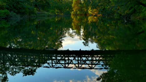 bridge reflection on calm ocean water, nature park landscape, dusk