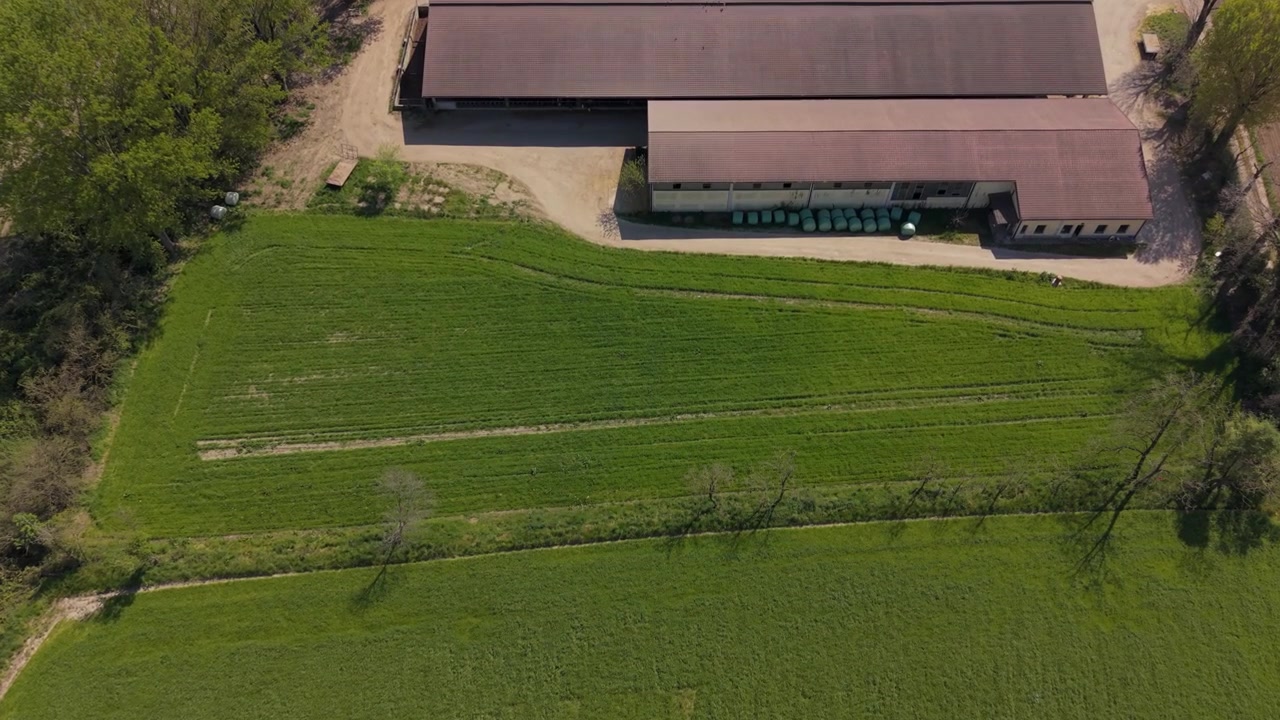 Video aereo con drone che riprende un moderno centro ippico immerso nella campagna del nord Italia, evidenziando strutture per cavalli, paddock e paesaggi rurali