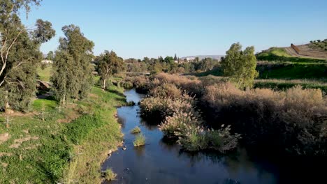 Peitschengrün-Im-Winter-–-Jordanfluss-–-Yardenit-Taufe,-Heilige-Christliche-Stätte-–-Religiöser-Tourismus-–-Nordisrael