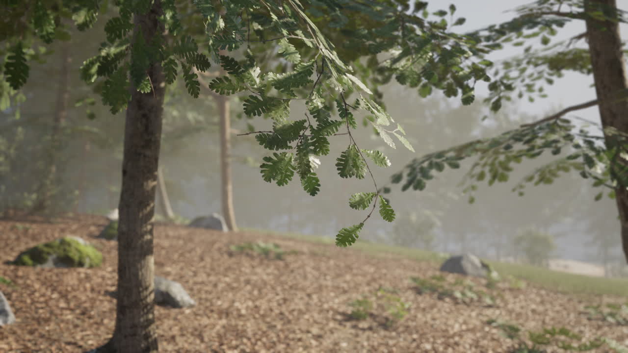 부드러운 빛 과 울창 한 초록색 잎자루 가 있는 숲 의 조용 한 풍경