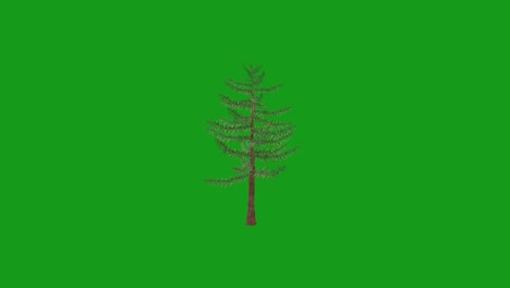 rotating tree green screen motion graphics