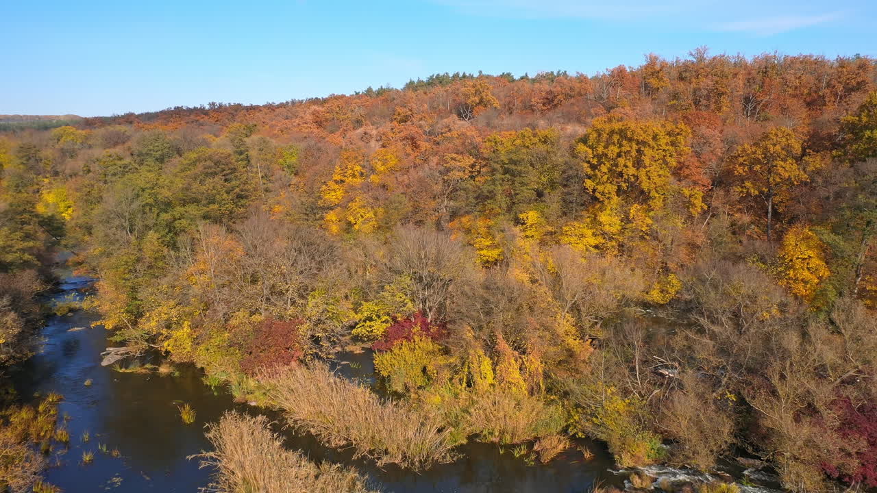 Aerial view of autumn forest with warm colors against a background of a blue sky. Beautiful nature river concept
