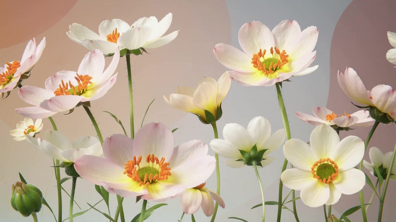 Ramar in utvidgande blommor med orangea mittar som vinklas för att avslöja knoppar och stjälkar mot en bokeh-bakgrund.