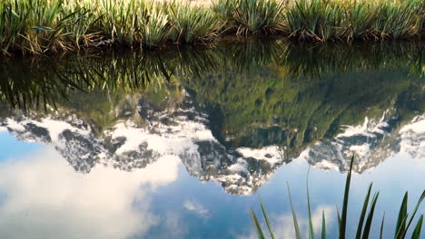 reflejos de espejo de agua en sonidos de milford