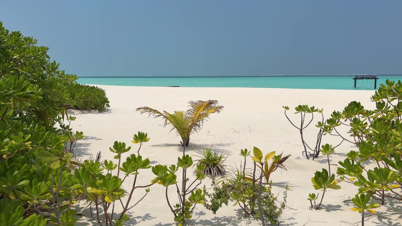 Spiaggia di sabbia bianca e mare turchese in un resort di lusso alle Maldive
