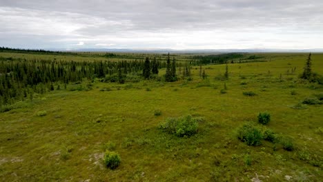 Desierto-De-Alaska-Cerca-De-Koyuk-Alaska