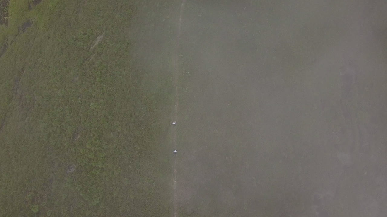 공중 - 브라질 리우데자네이루의 대서양림 산을 걷고 있는 등산객 두 명