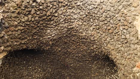 a detailed view of a cave's interior