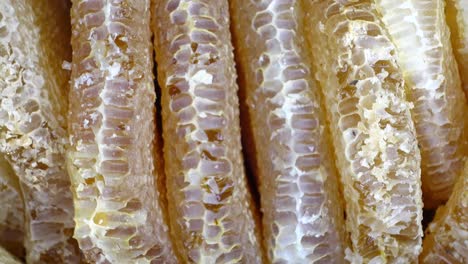 closeup of honeycomb with honey