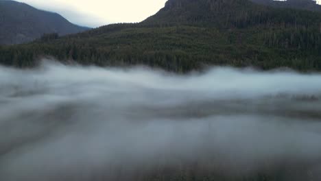 Aerial-view-of-Foggy-Trees-and-Mountains-at-Sunrise