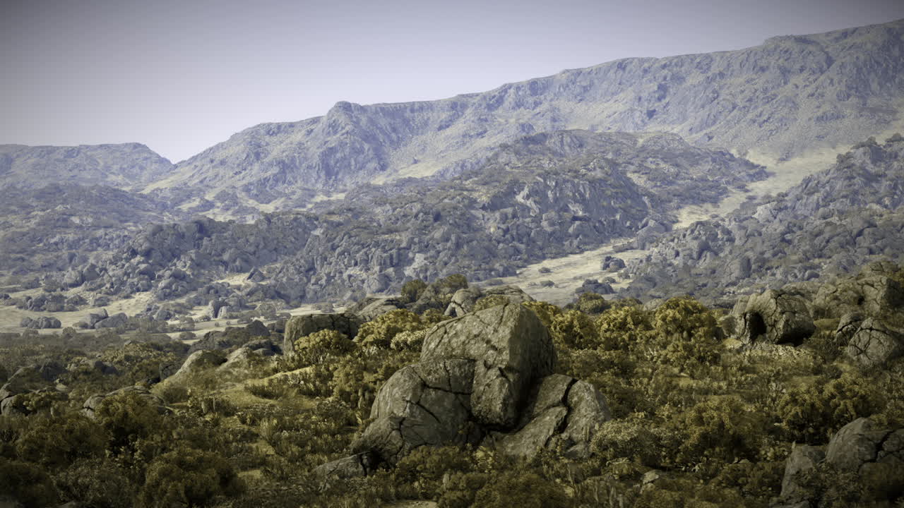 Rocky terrain with low vegetation in a mountainous landscape during daylight