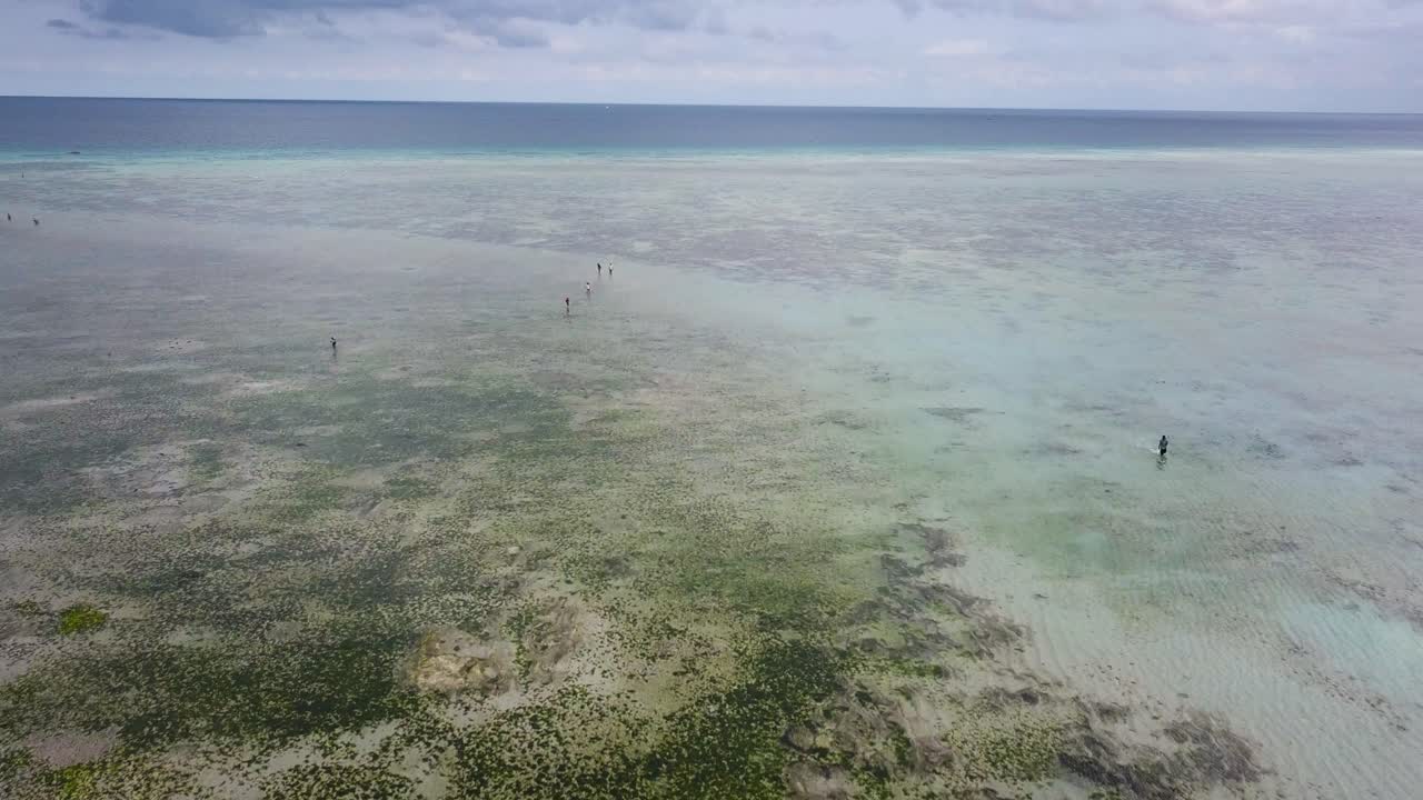 Aerial flying over beach during low tide, unrecognizable people exploring