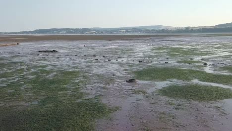 lympstone estuary, dry sea bed, england