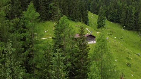 small hut surrounded by a forest in the austrian alps