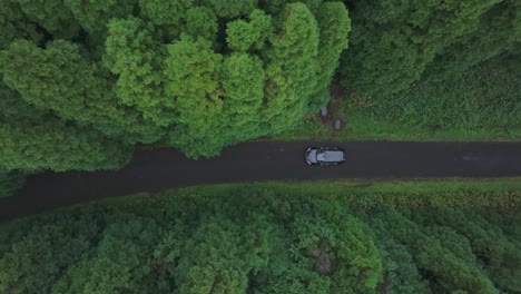 vista superior de un coche conduciendo a lo largo de los árboles en una pequeña carretera en las azores - fotografía de un avión no tripulado