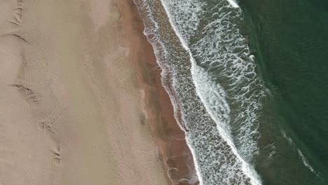 Pájaros-Volando-Sobre-Las-Olas-En-La-Playa---Movimiento-Aéreo-Hacia-Adelante