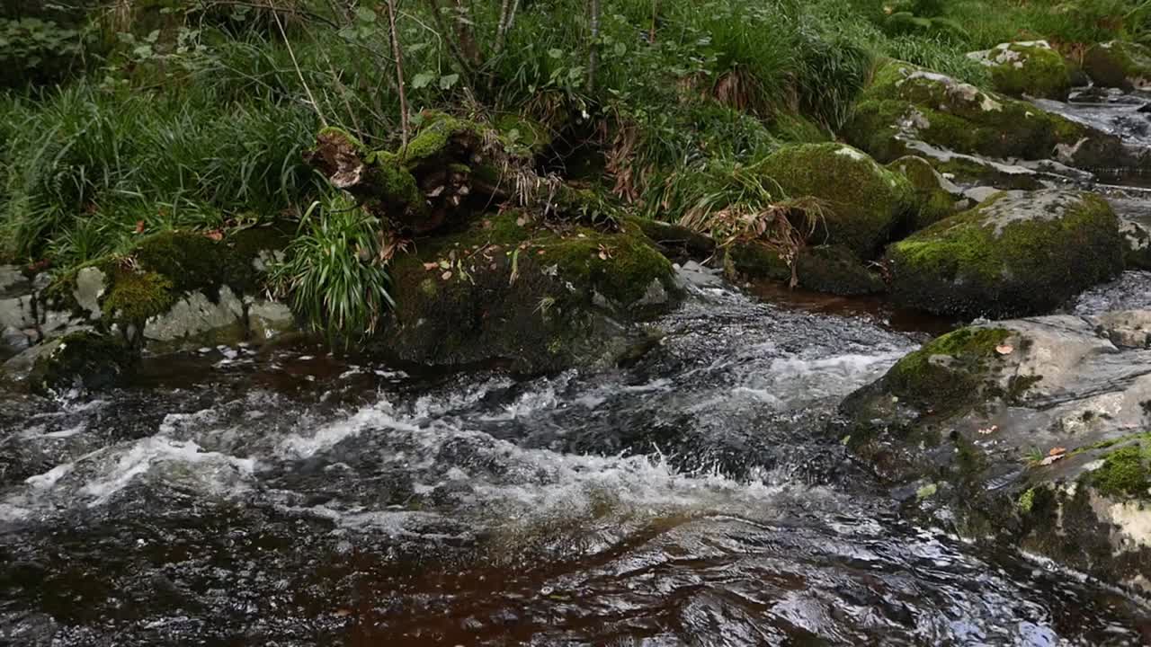 Small waterfall through moss covered rocks. Lake District National Park. Autumn. Cumbria. Northern England. UK