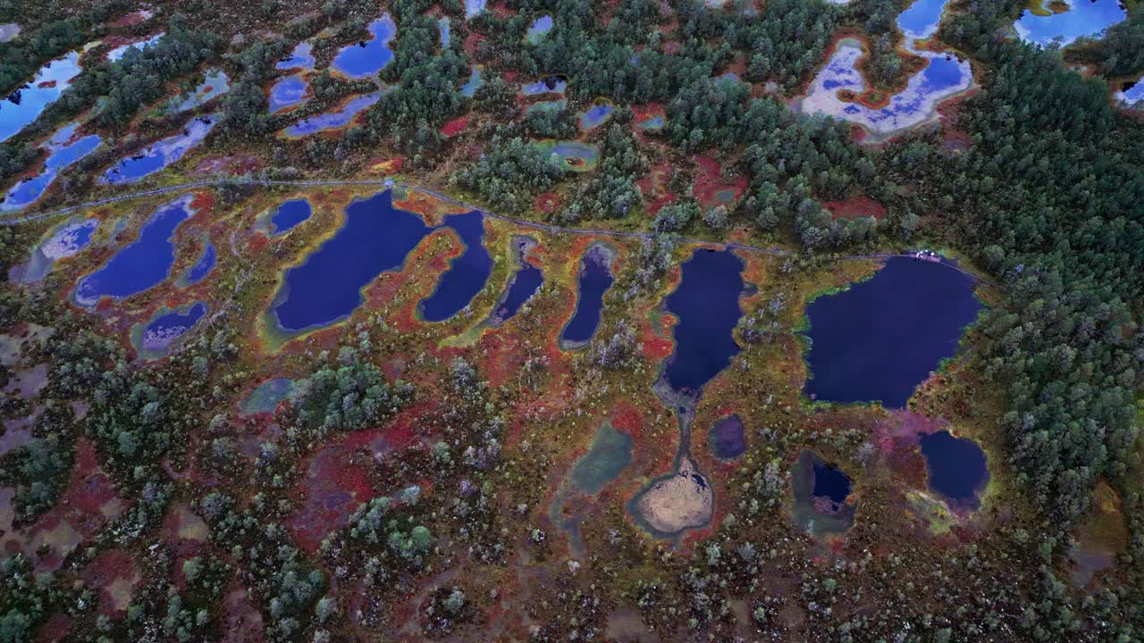 Aerial view of Viru Bog in Estonia reveals shimmering blue lakes surrounded by pine forest and autumn wetlands creating a colorful natural landscape in the heart of Lahemaa National Park
