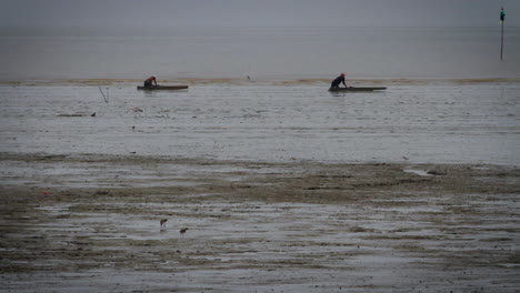 Männer-Benutzen-Gleitplanken,-Um-Sich-Bei-Ebbe-Am-Schlammigen-Strand-Fortzubewegen-Und-Schalentiere-Zu-Sammeln