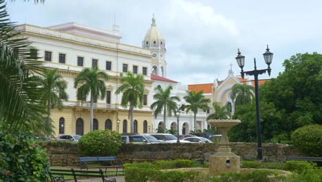 lush palm trees surround an idyllic park in historic casco viejo neighborhood.