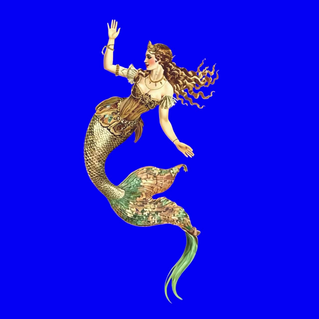 Vintage mermaid illustration animation, transparent 4K video, green screen