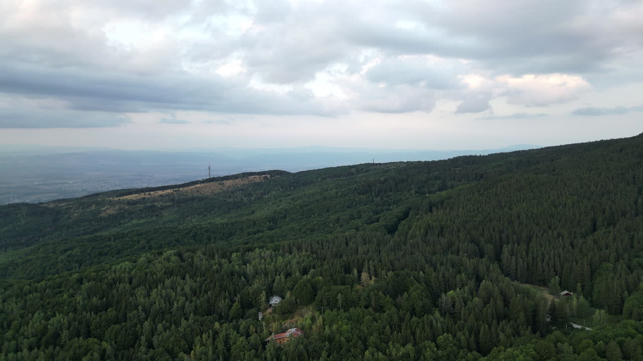 Luftfoto over den tætte skov ved Vitosha-bjerget nær Sofia