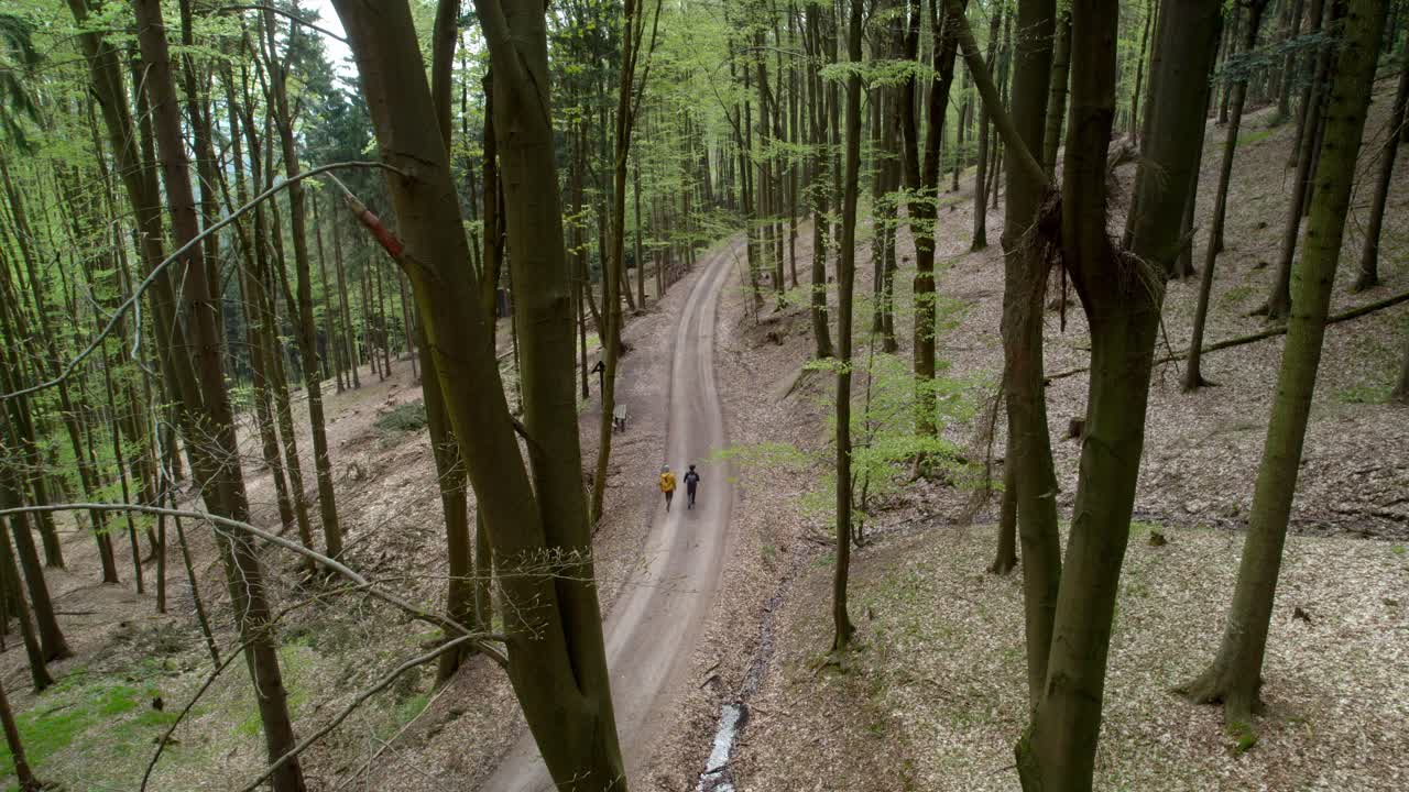 toma aérea giratoria de drones de una pareja caminando por un camino de grava mientras camina por el bosque en hřebeč, república checa durante el día
