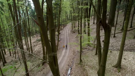 Aerial-drone-rotating-shot-of-a-couple-walking-on-a-gravel-pathway-while-hiking-through-the-woods-in-Hřebeč,-Czech-Republic-at-daytime