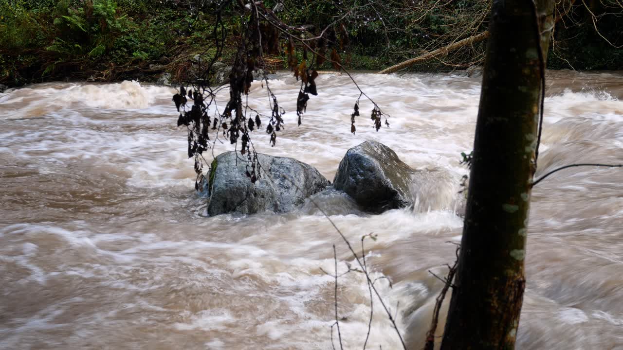 삼림 광야 장면에서 바위 주위에 튀는 폭우 강 홍수