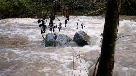 Schwere-Regenflussfluten,-Die-Um-Felsbrocken-In-Der-Wildnisszene-Des-Waldes-Spritzen