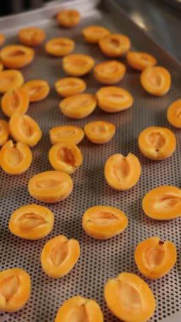 dried apricot halves on a metal tray