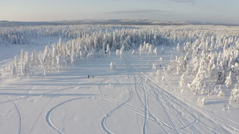 static drone shot of a cold winter forest in branäs, sweden