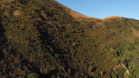 Aerial-drone-slowly-flying-towards-and-over-a-large-green-hill-at-dawn,-revealing-a-wide-lush-landscape